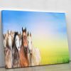 Herd of horses on background of summer Canvas Print or Poster